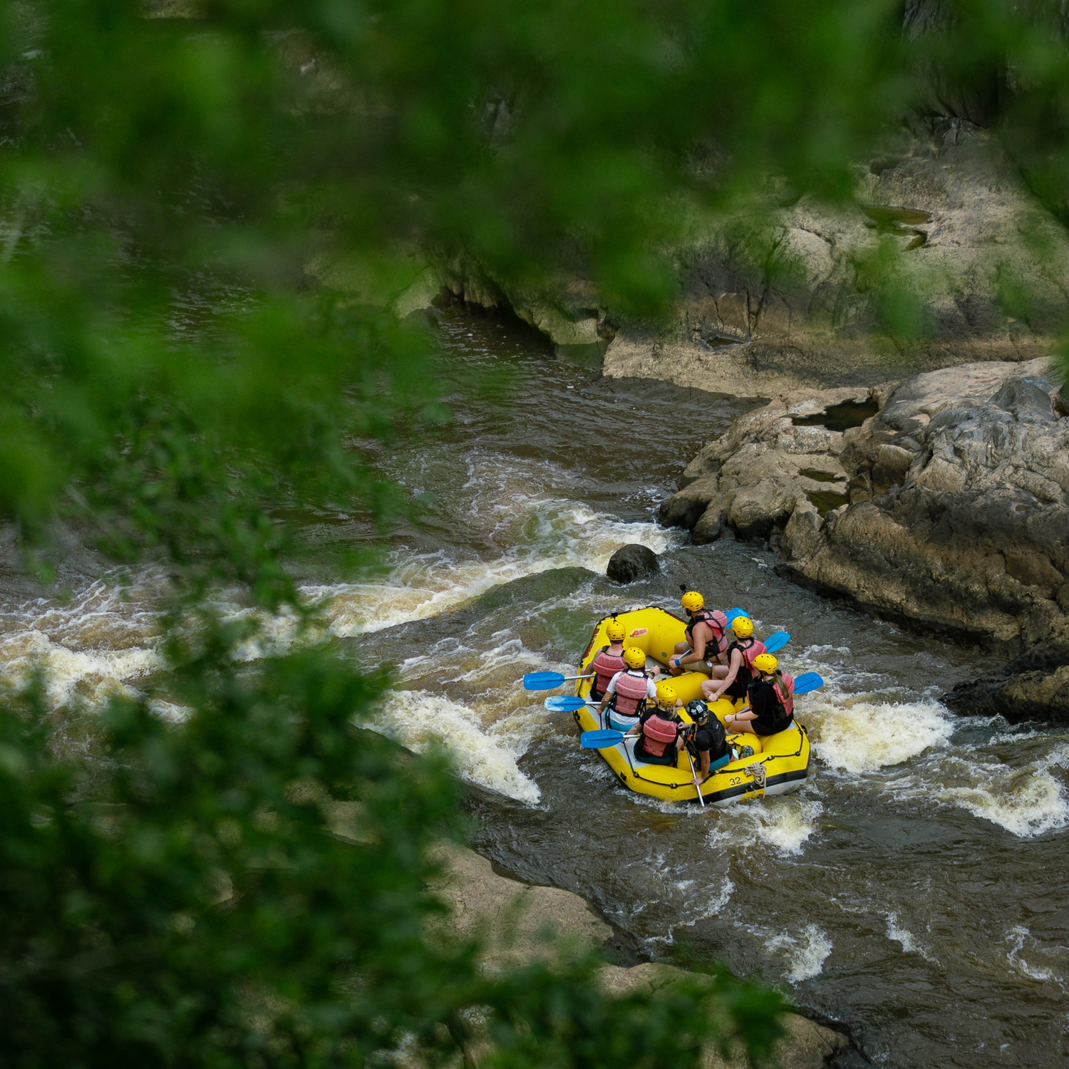 Barron River Rafting (Cairns Return Transfer) 9
