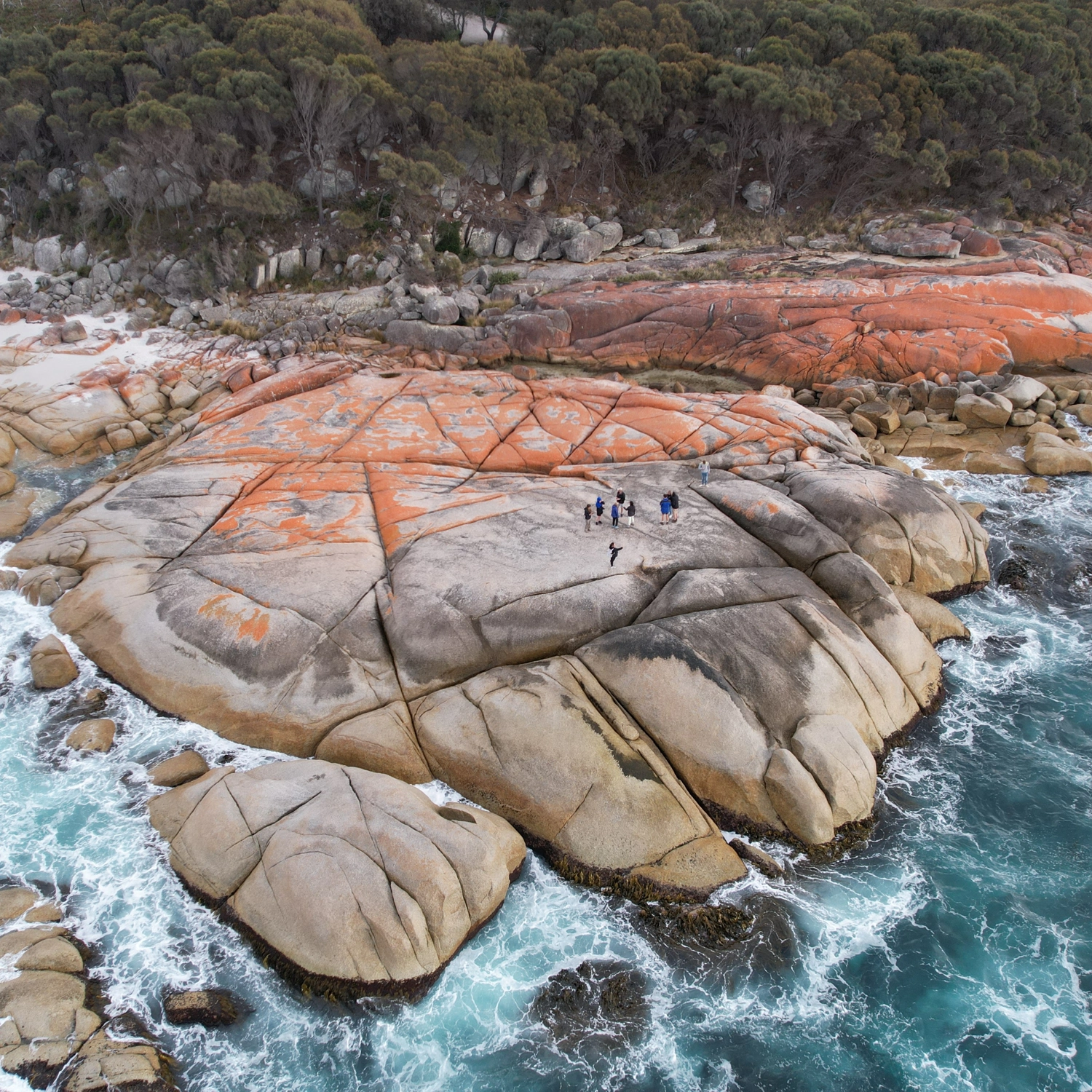 Comfort Tour — Tasmanian Discovery (6 Day) 9