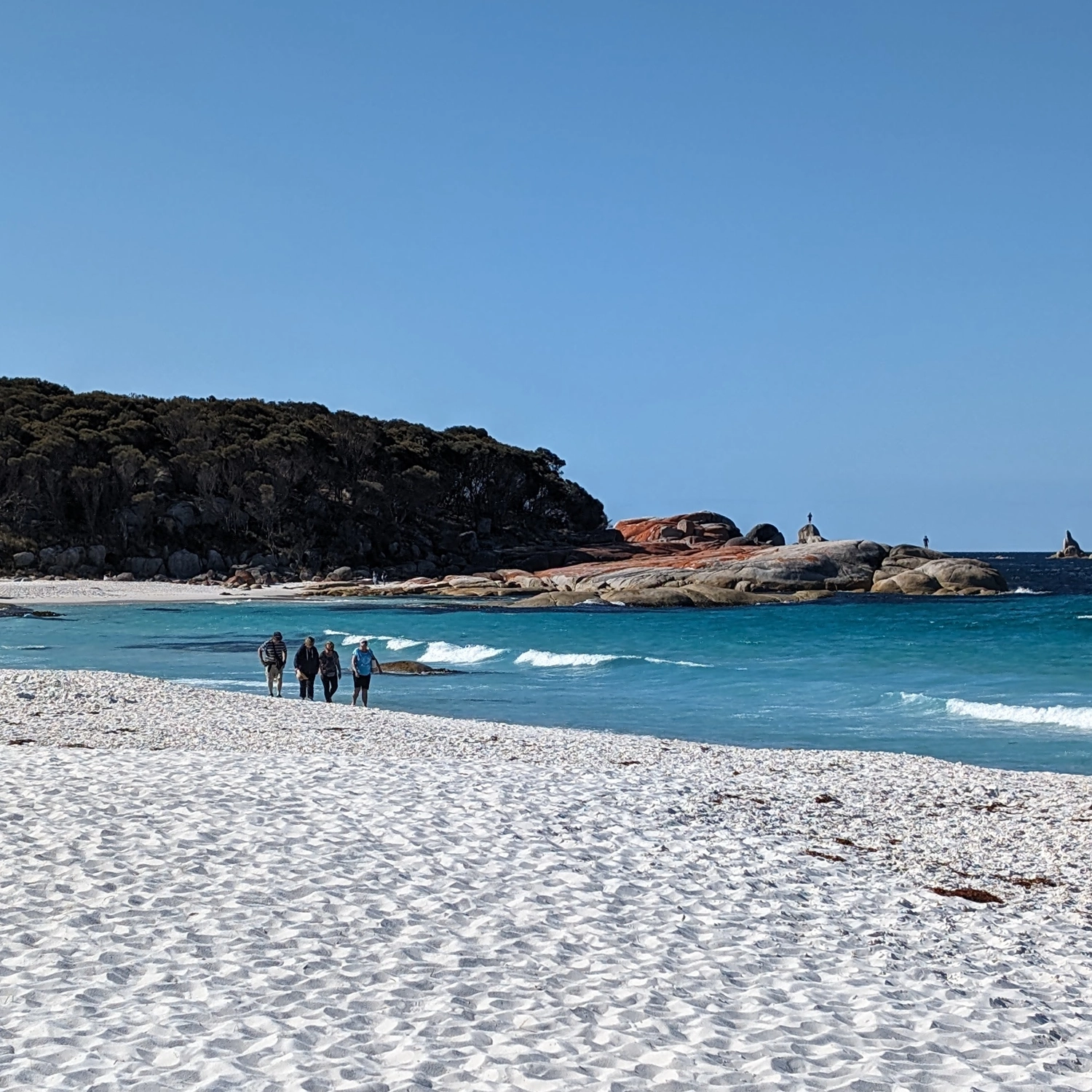 Comfort Tour — Tasmanian Discovery (6 Day) 5