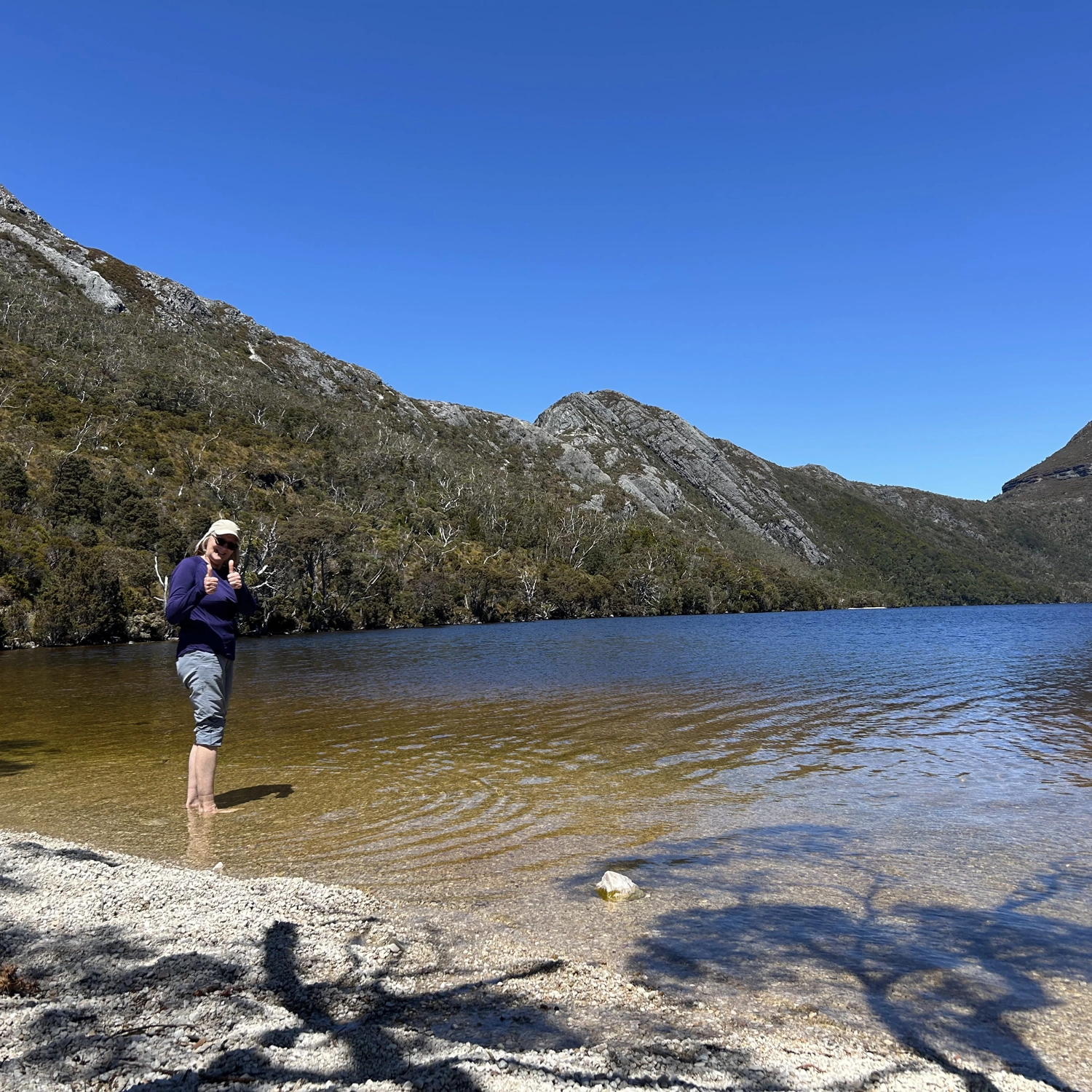 Comfort Tour — Tasmanian Discovery (6 Day) 8