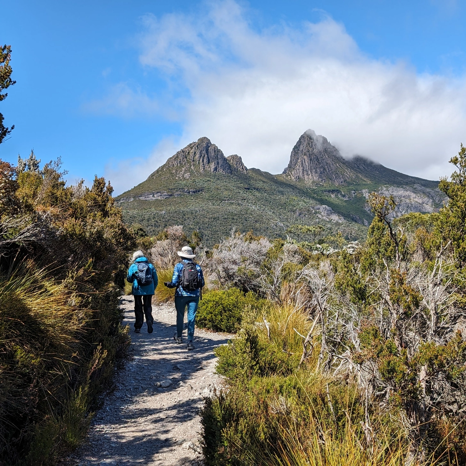 Comfort Tour — Tasmanian Discovery (6 Day) 6