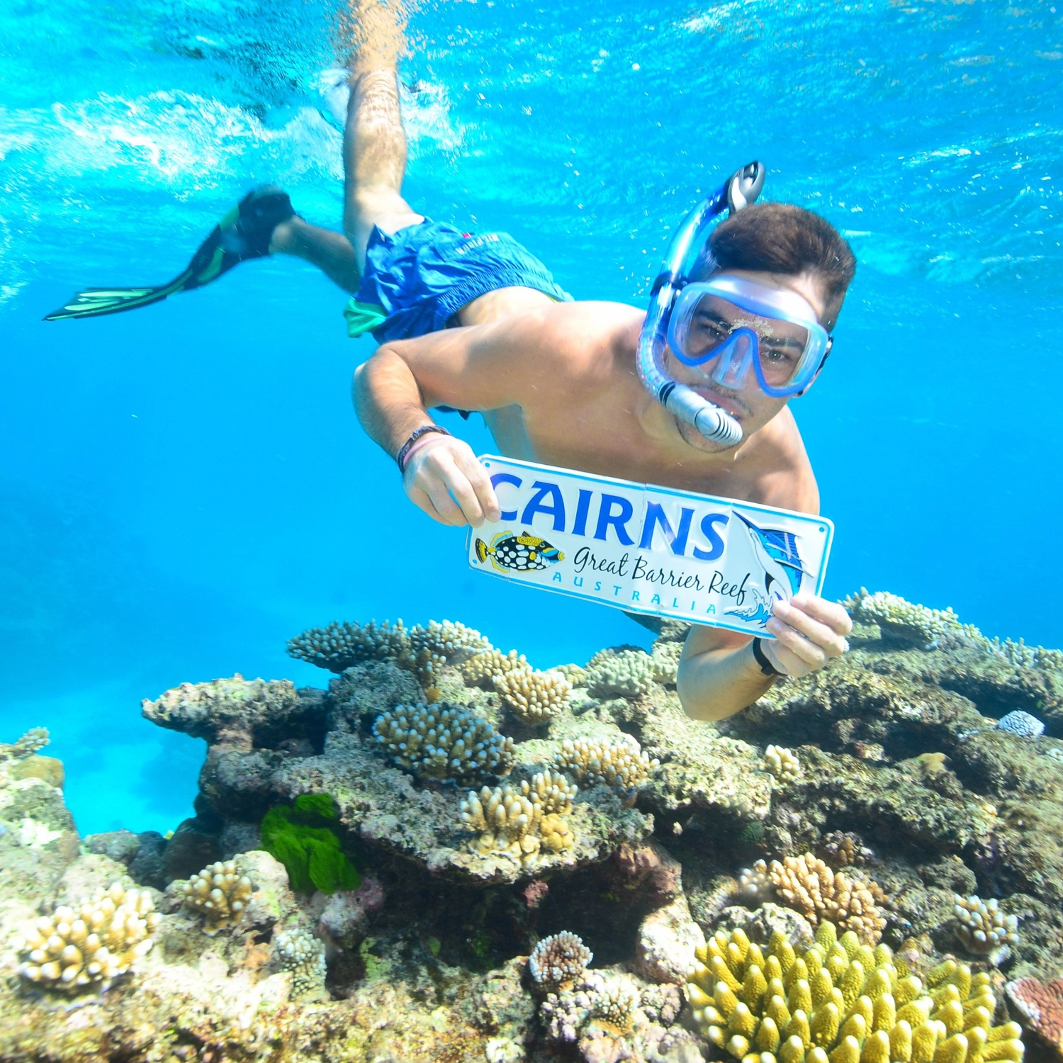 AquaQuest Day Trip — One Free Intro Dive Special 4