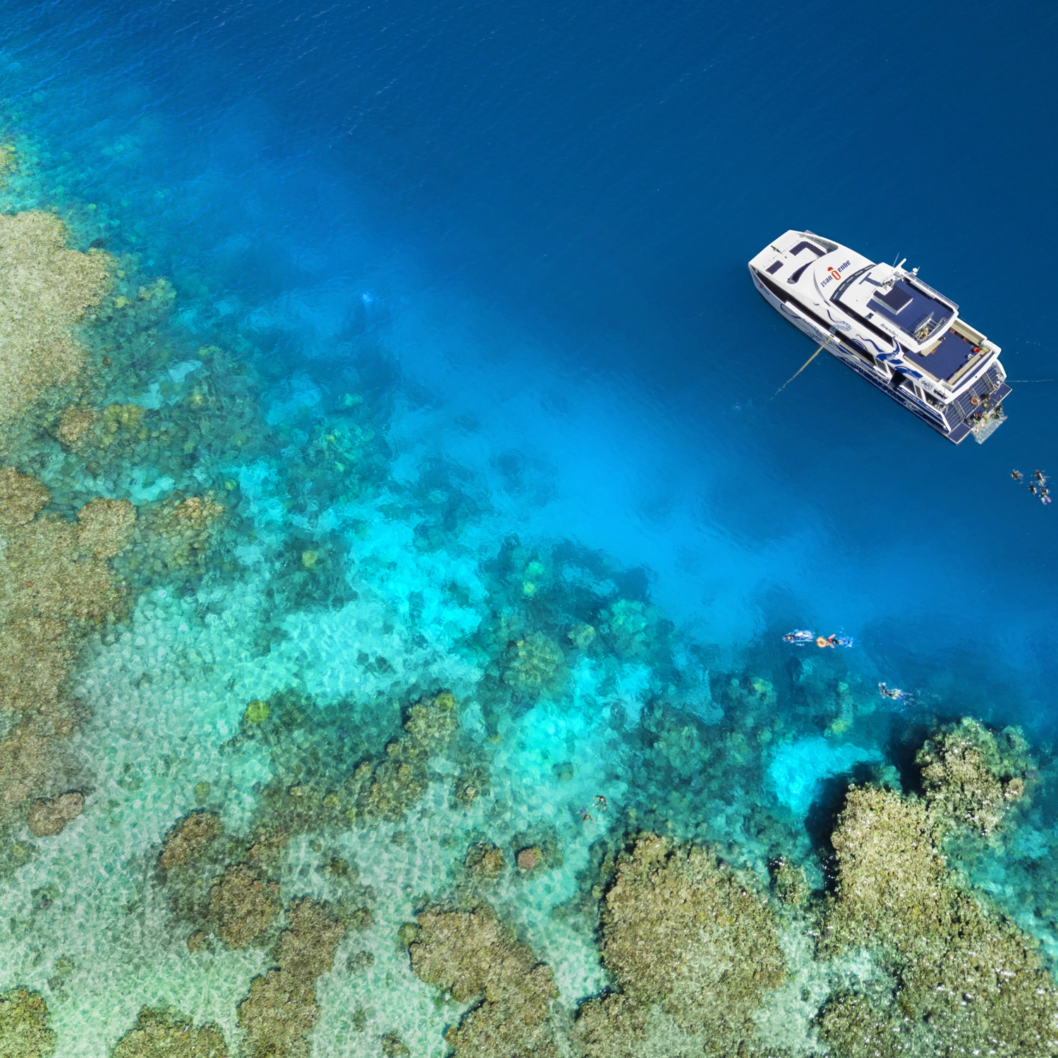 AquaQuest Day Trip — One Free Intro Dive Special 5