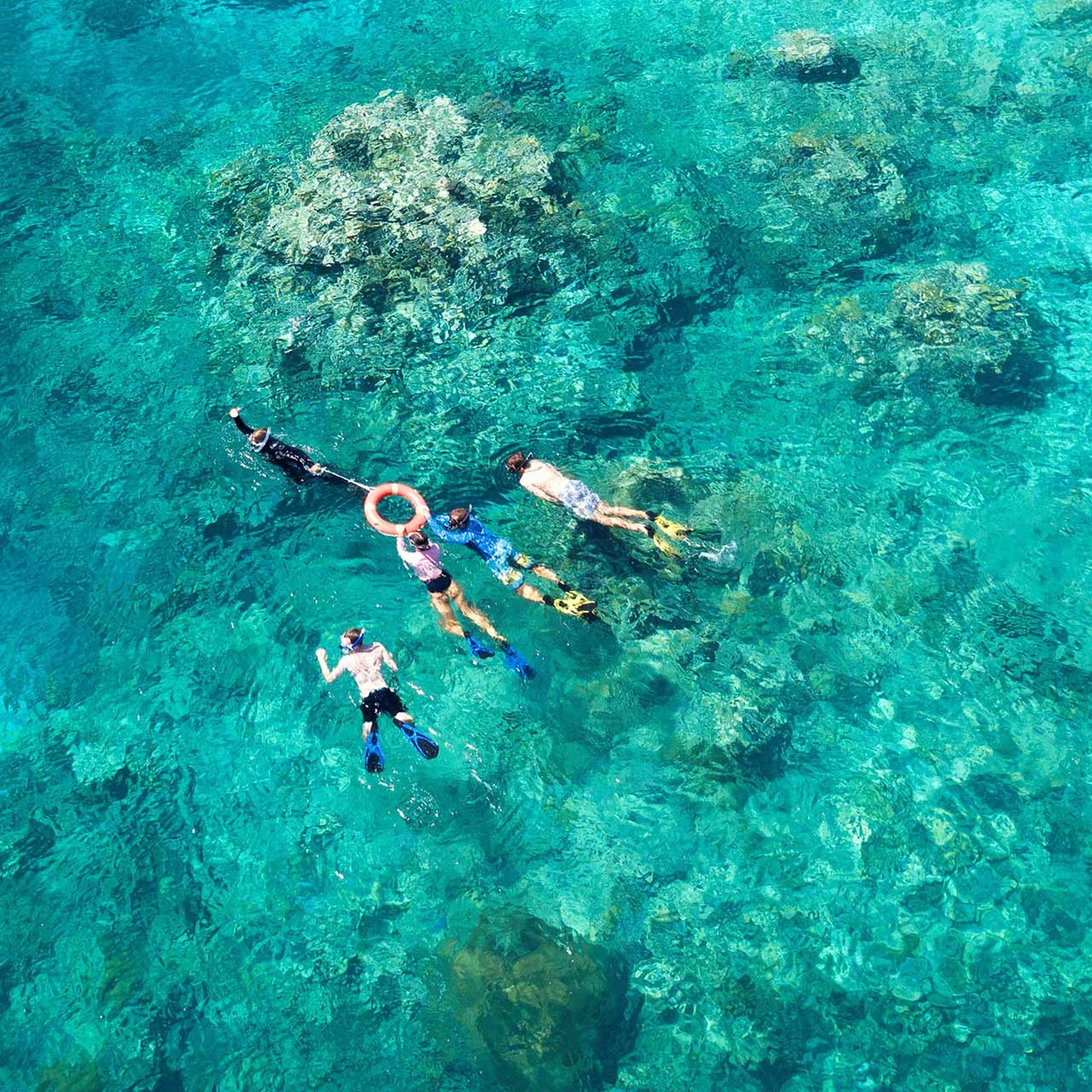 AquaQuest Day Trip — One Free Intro Dive Special 8