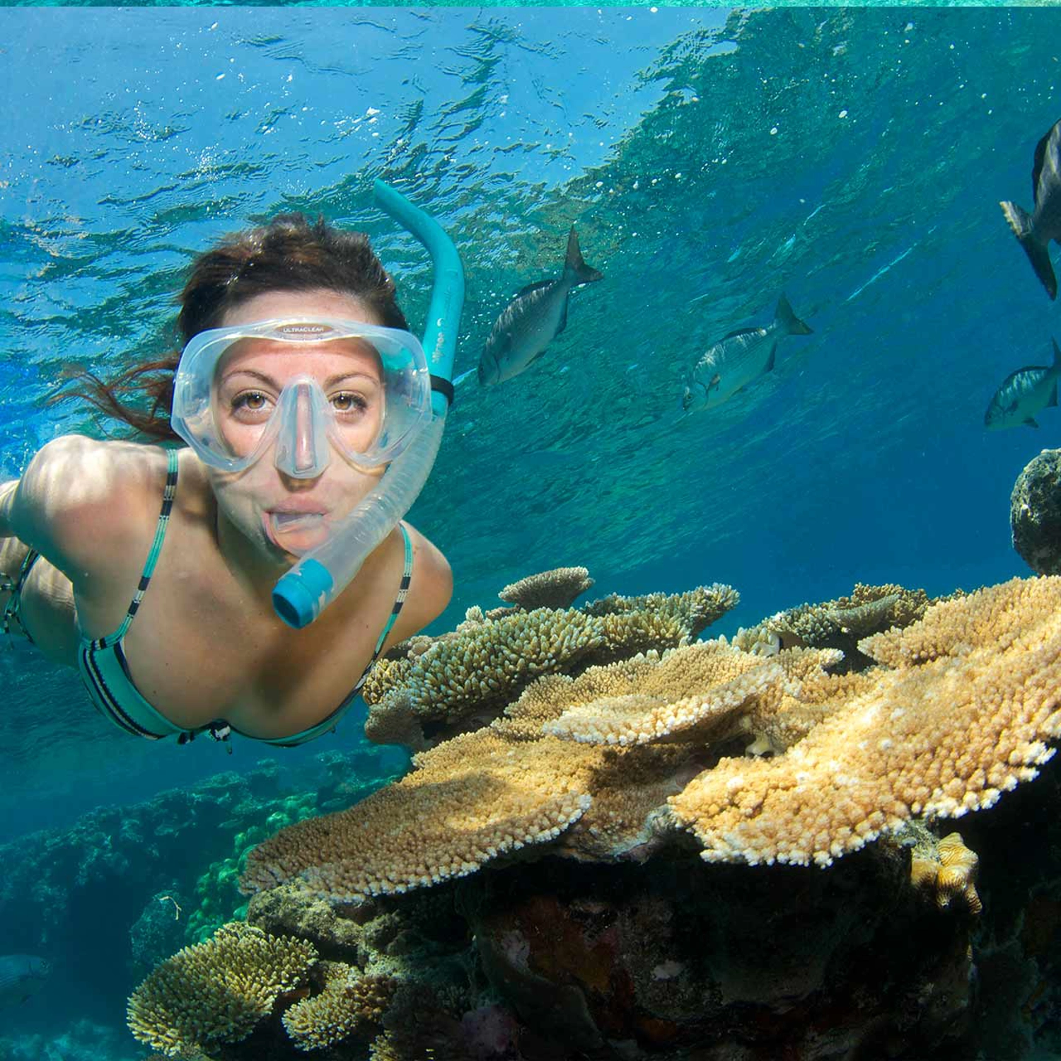 AquaQuest Day Trip — One Free Intro Dive Special 2