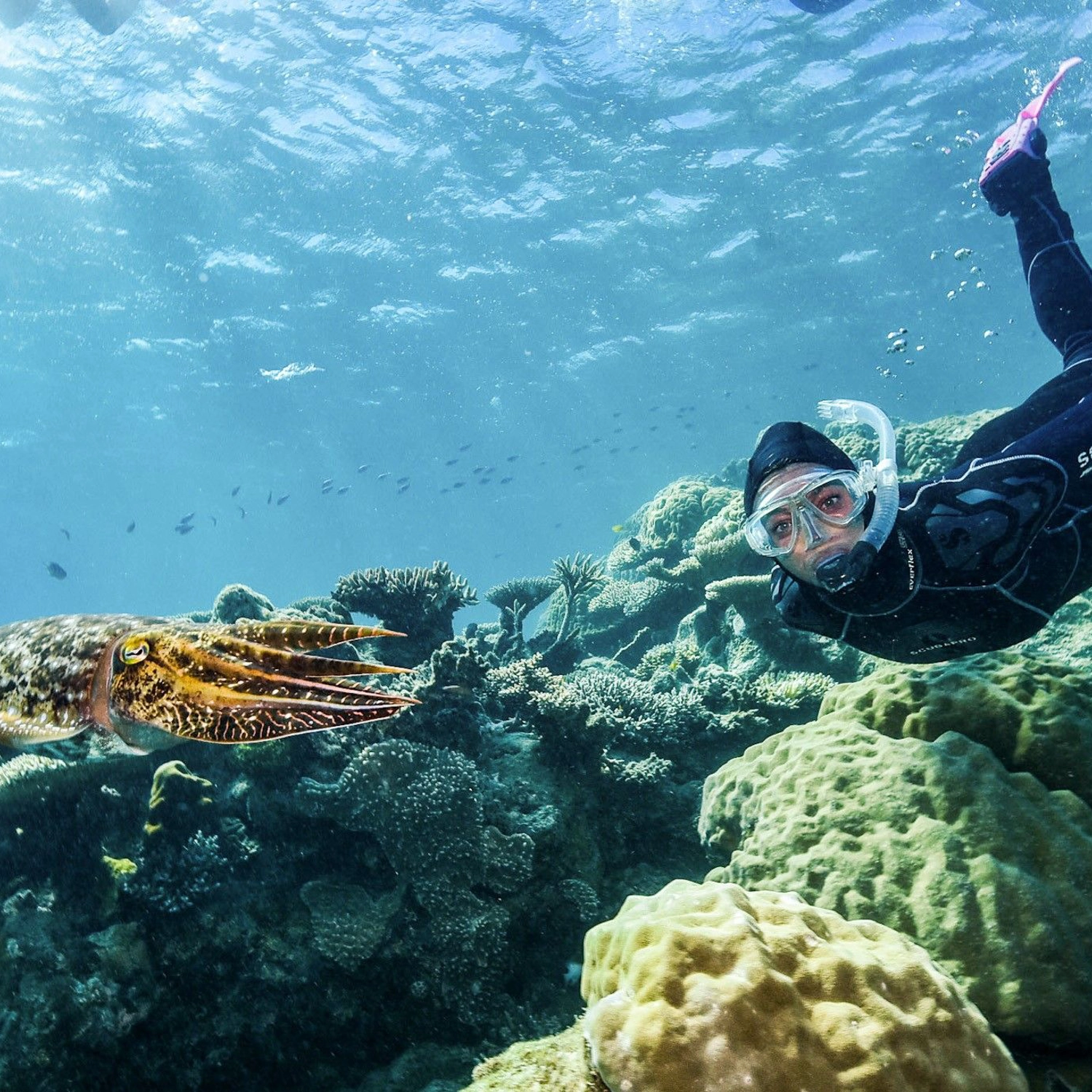 AquaQuest Day Trip — One Free Intro Dive Special 7