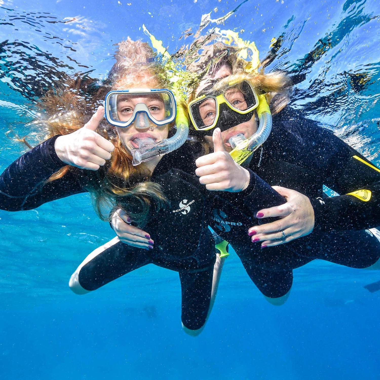 AquaQuest Day Trip — One Free Intro Dive Special 3