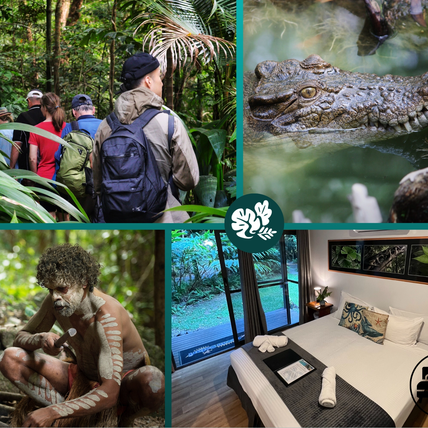 Daintree Discover: Rainforest & Accommodation (2 Day) 8