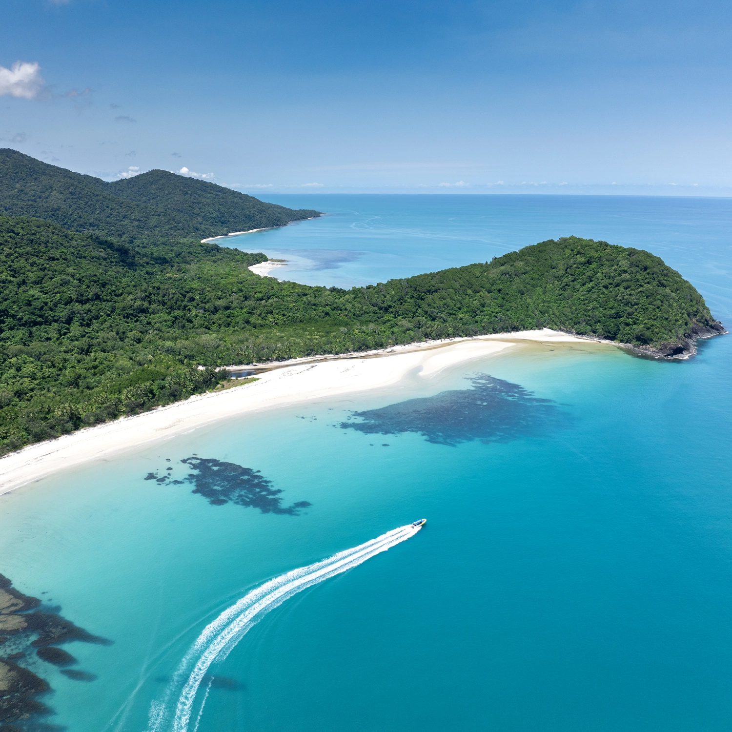 Daintree Discover: Rainforest & Accommodation (2 Day) 6