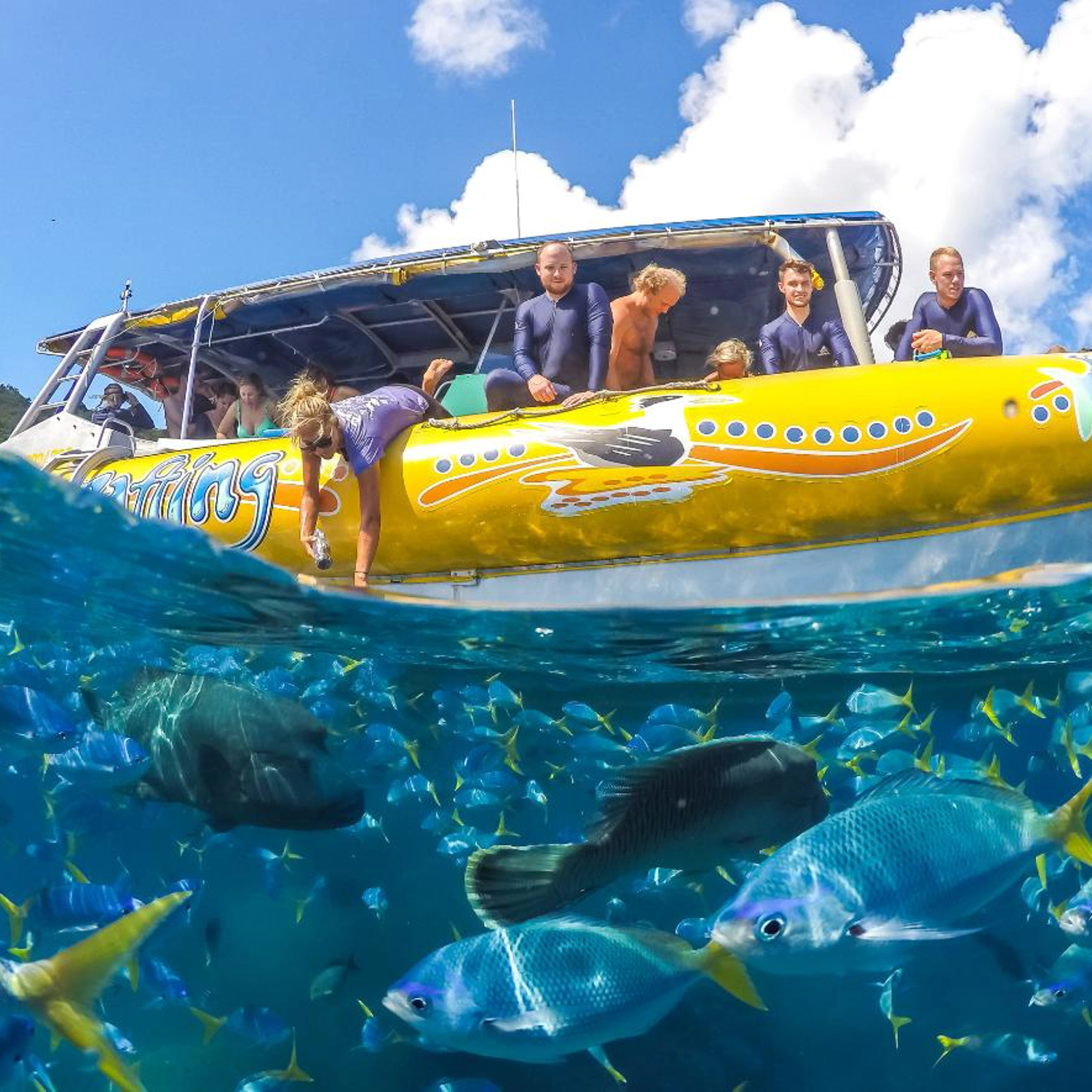 Half Day Splash: Morning — Reef & Snorkel 9