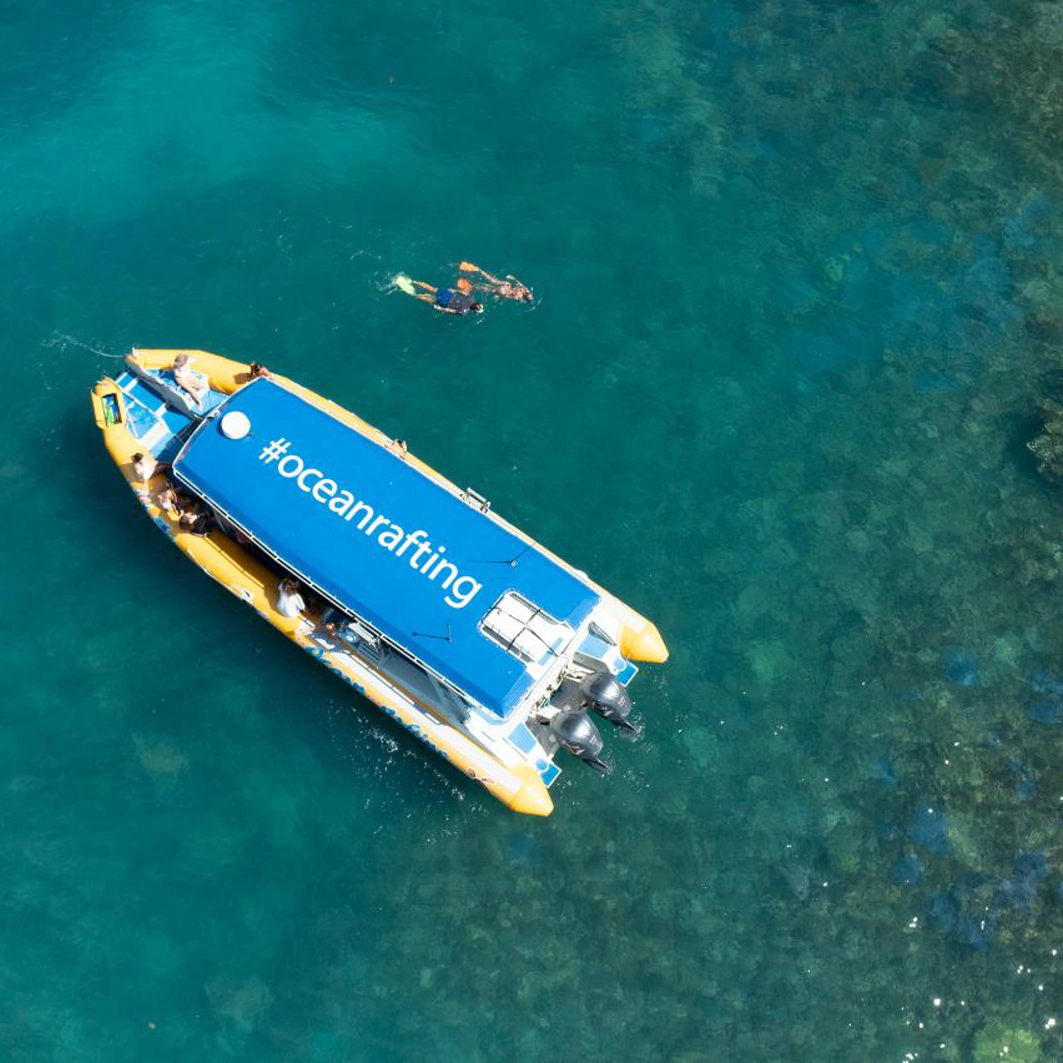 Half Day Splash: Morning — Reef & Snorkel 3