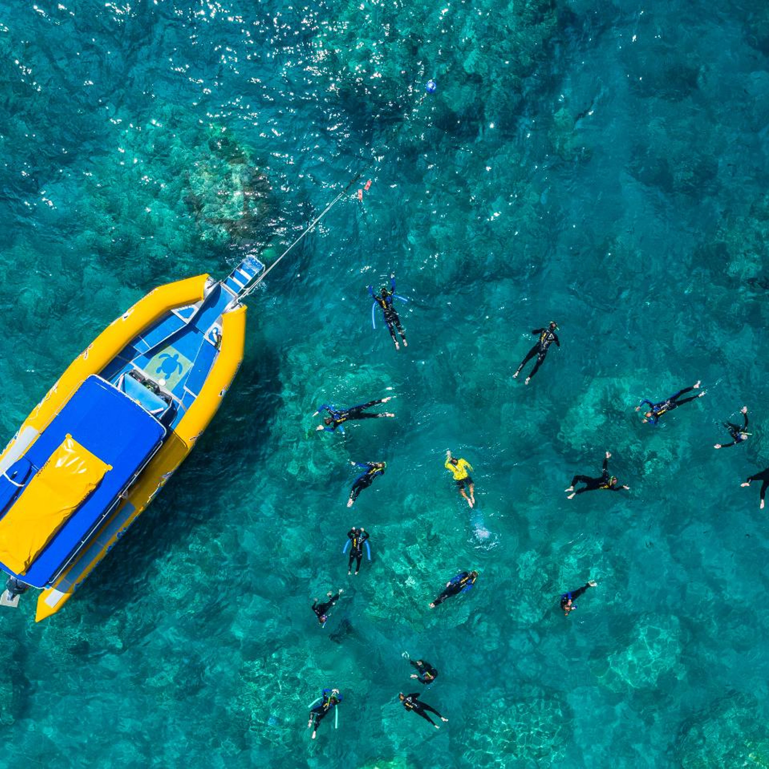 Half Day Splash: Morning — Reef & Snorkel 5