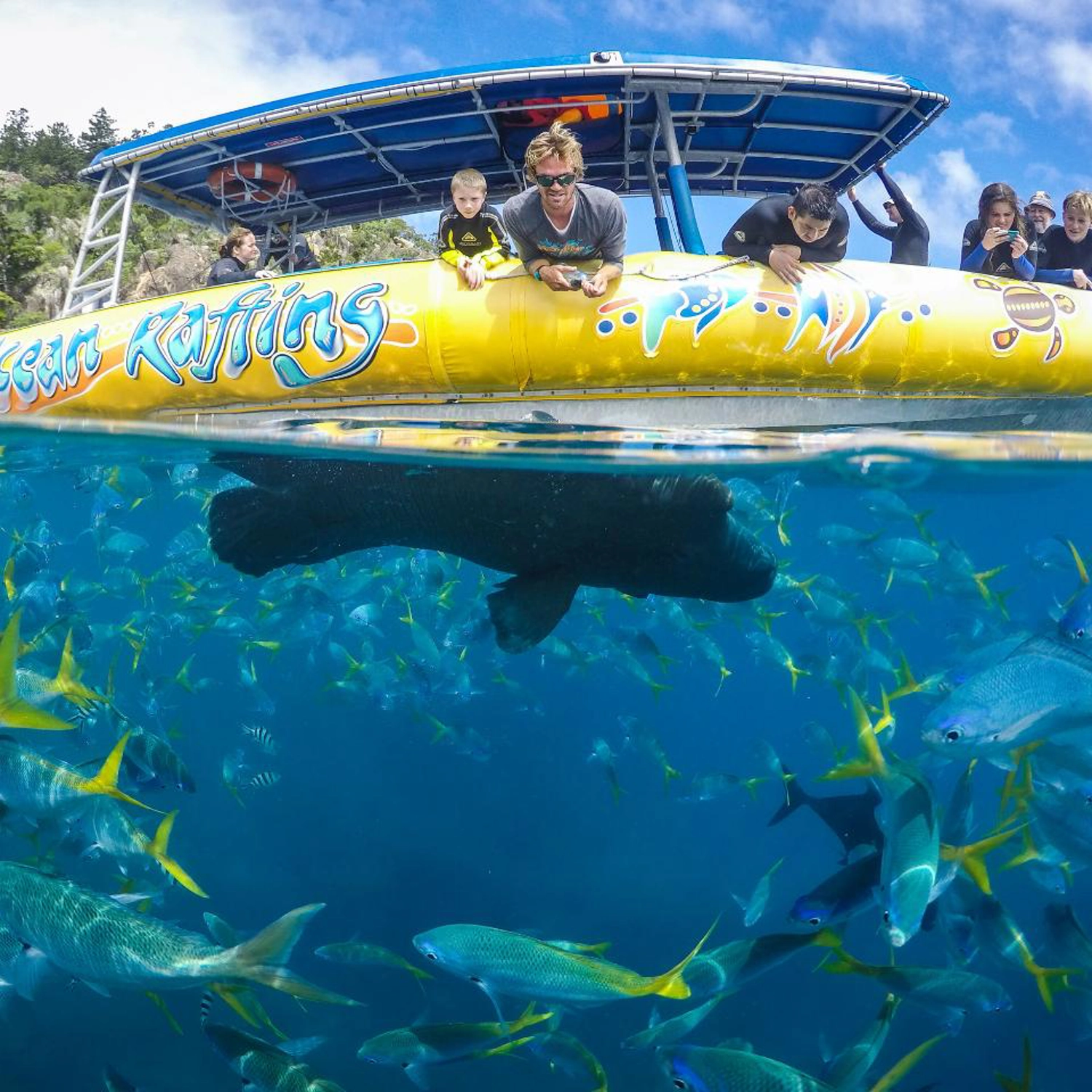 Half Day Splash: Morning — Reef & Snorkel