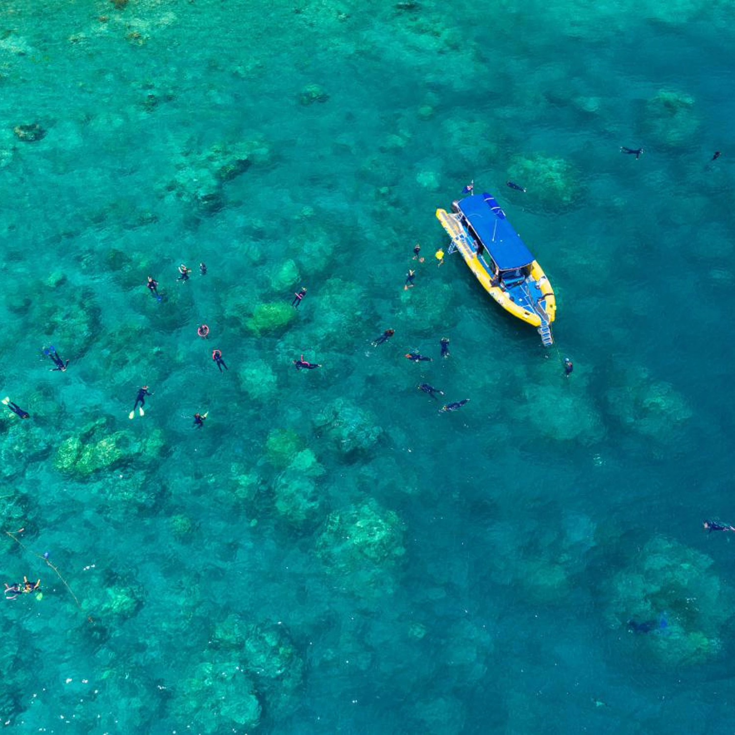 Half Day Splash: Morning — Reef & Snorkel 4