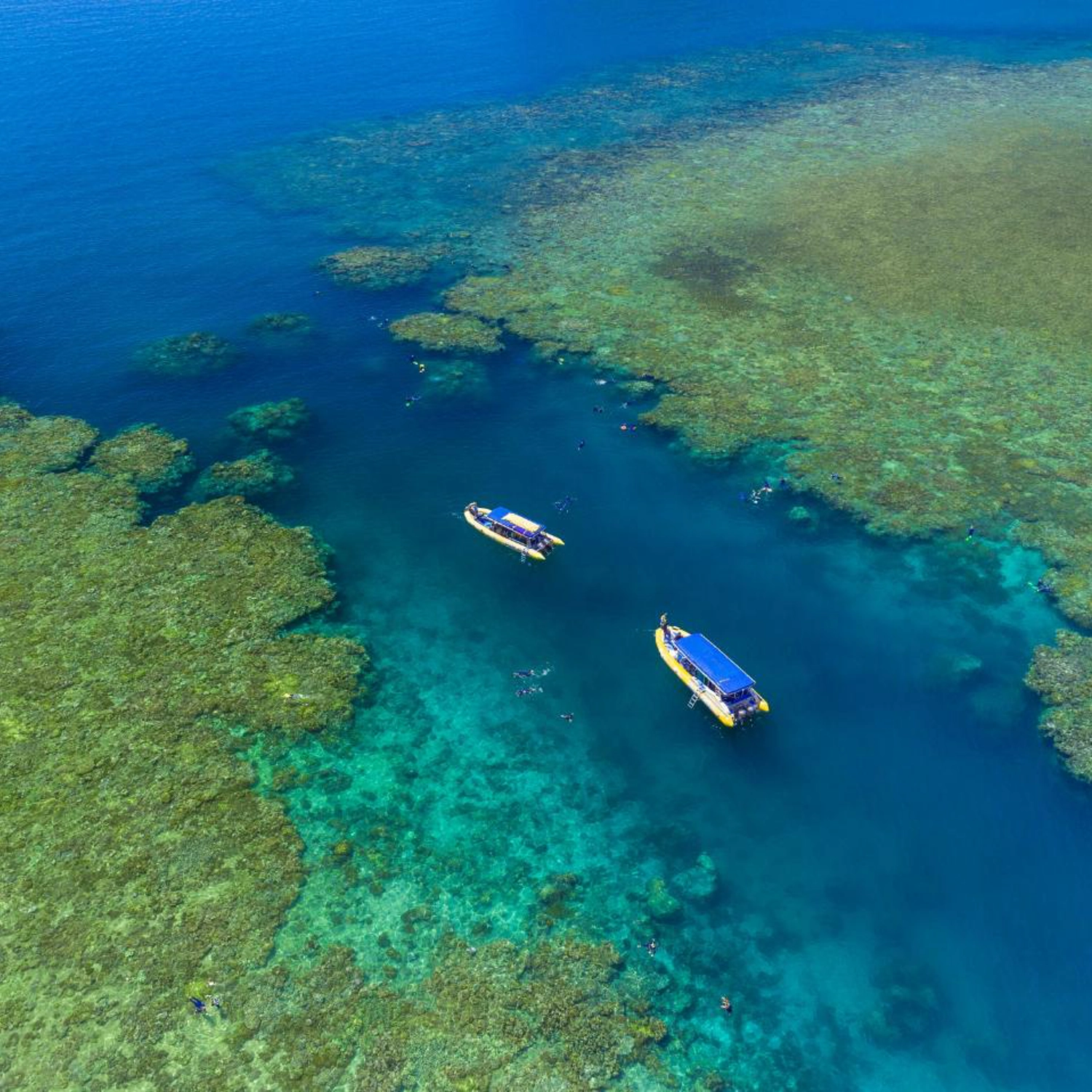 Half Day Splash: Afternoon — Reef & Snorkel