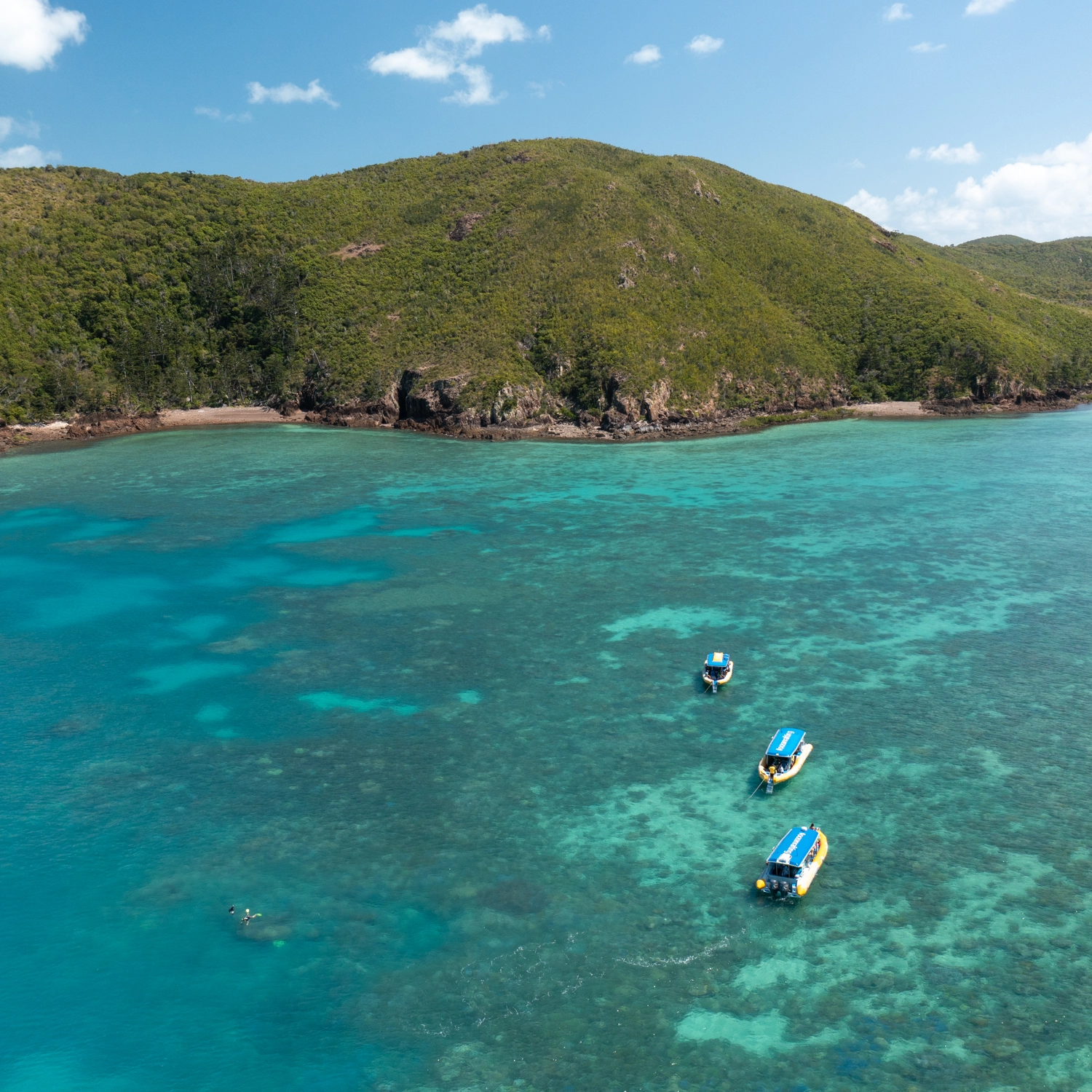 Half Day Splash: Afternoon — Reef & Snorkel 9
