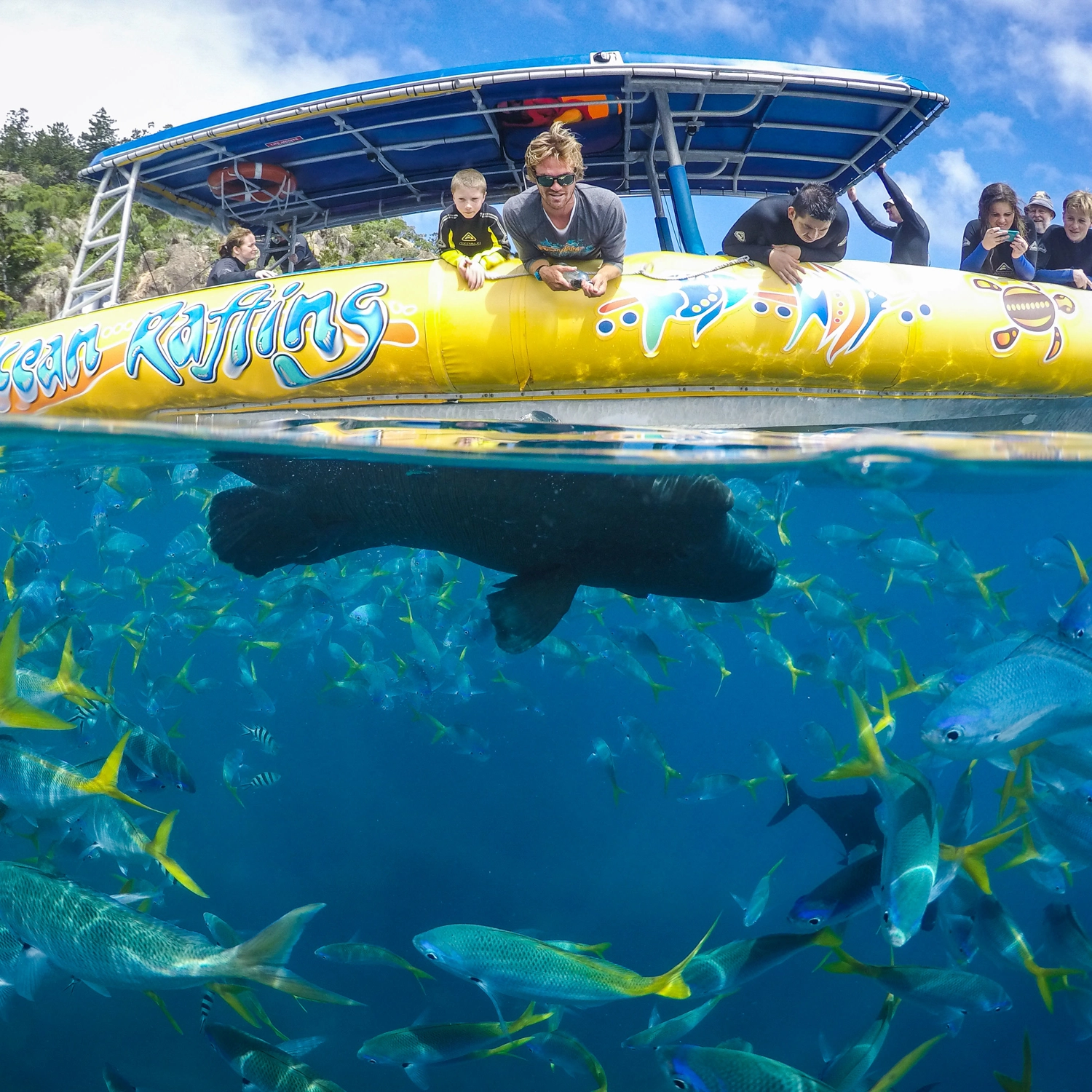Half Day Splash: Afternoon — Reef & Snorkel 2