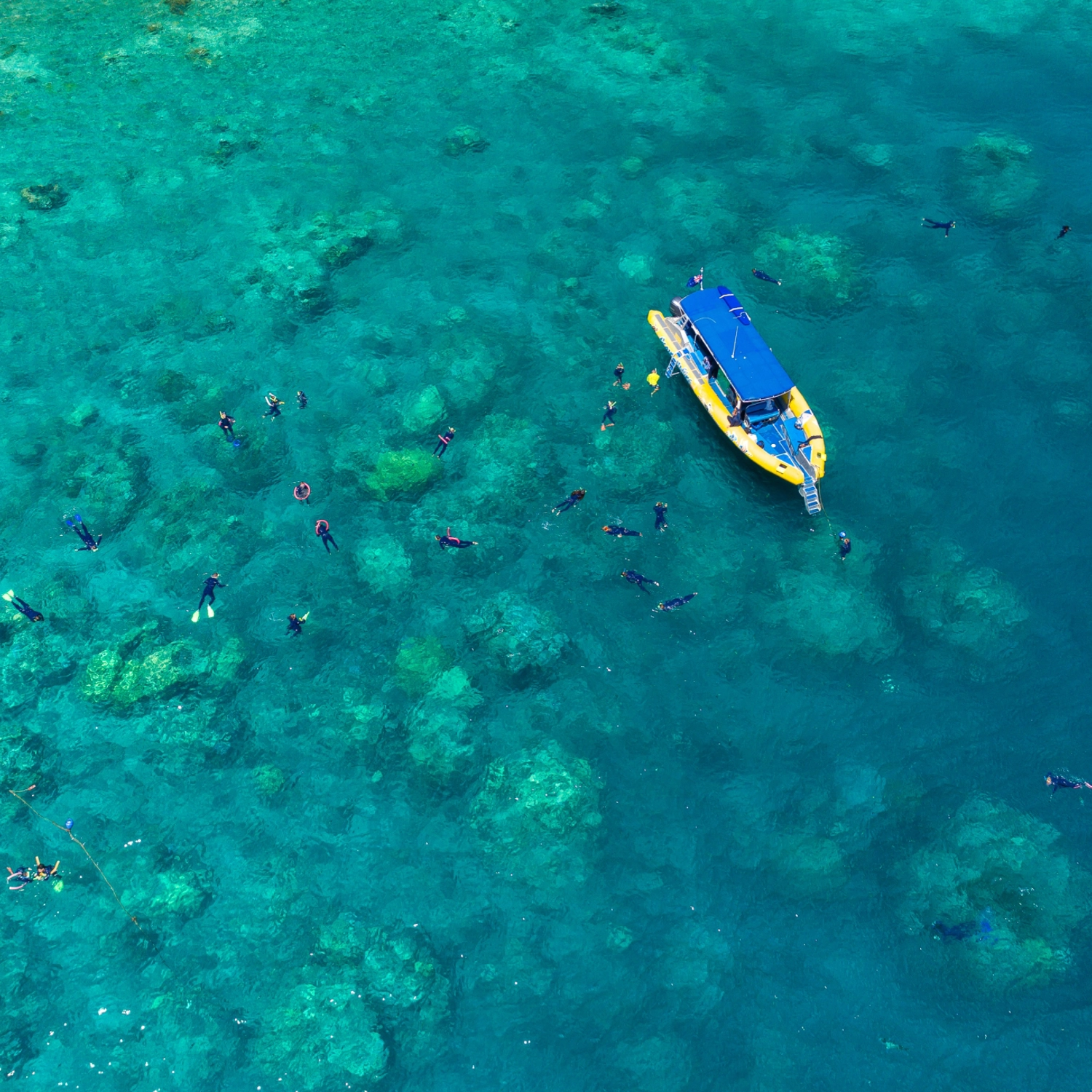 Half Day Splash: Afternoon — Reef & Snorkel 7