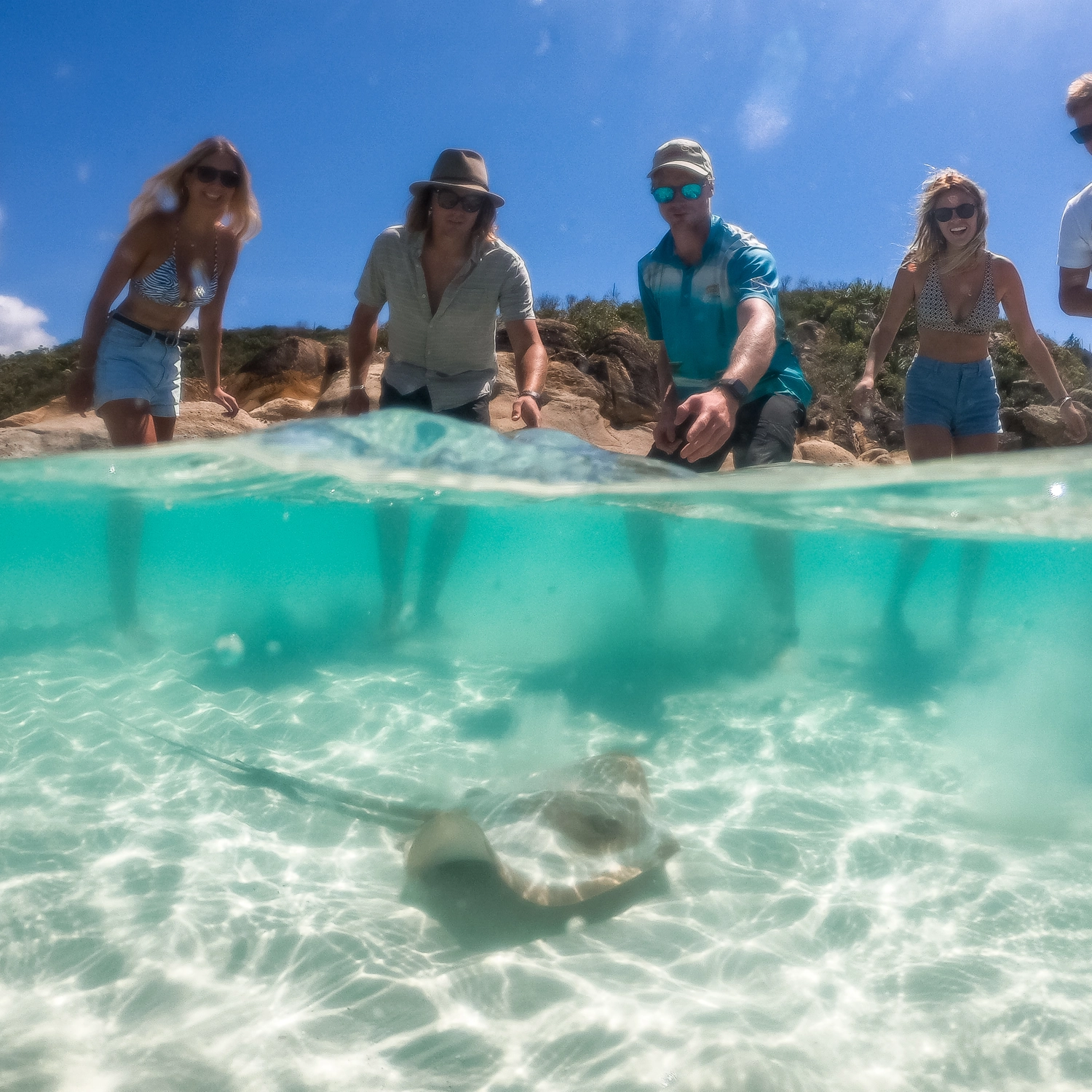 Full Day Eco Adventure: Ride, Beach, Snorkel & Bushwalk 8