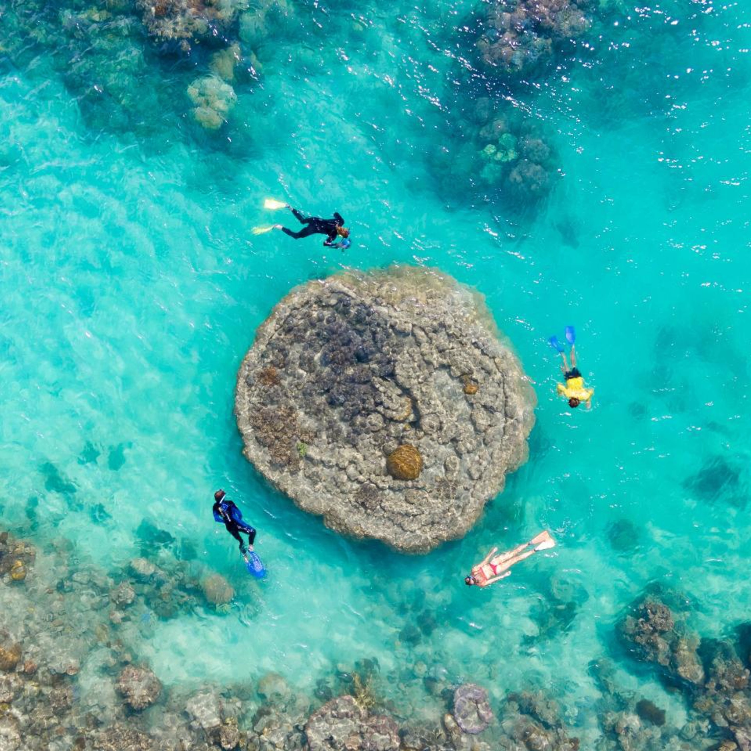 Full Day Eco Adventure: Ride, Beach, Snorkel & Bushwalk 6