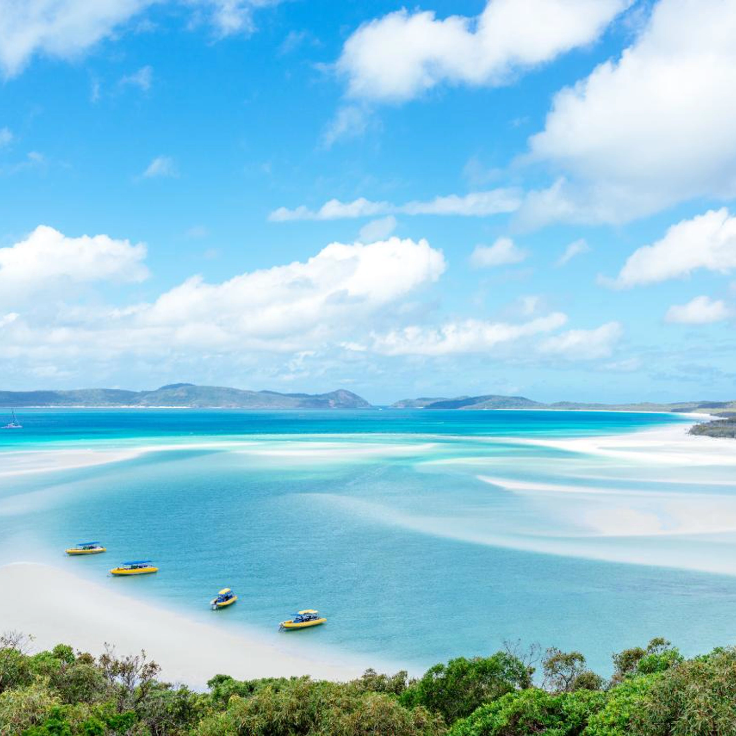 Half Day Dash: Morning — Whitehaven Beach & Hill Inlet 4