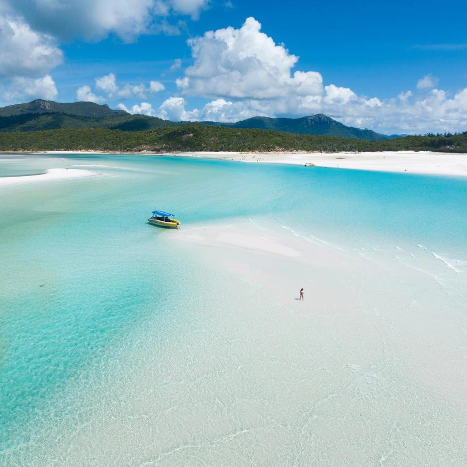 Half Day Dash: Morning — Whitehaven Beach & Hill Inlet 6