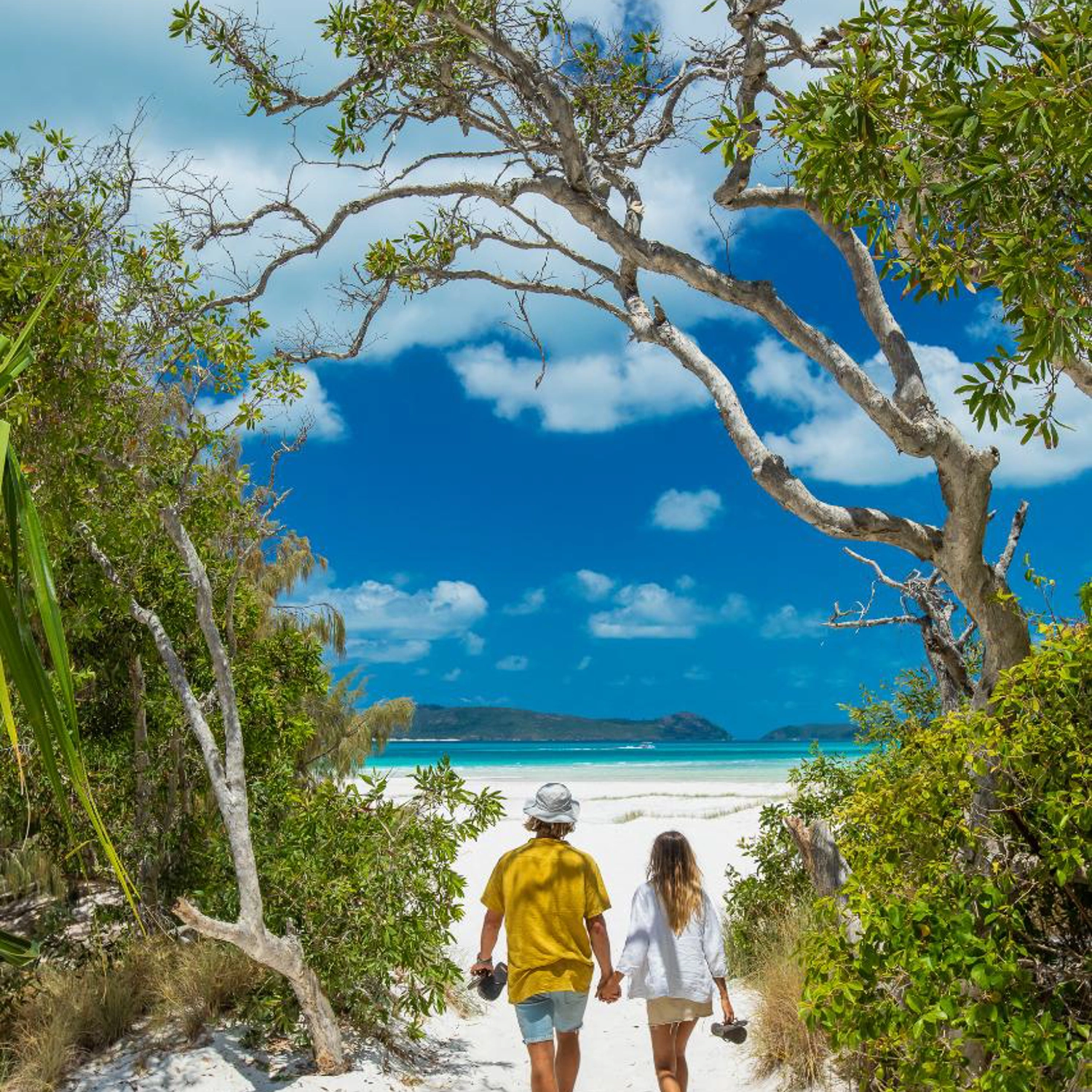 Half Day Dash: Afternoon — Whitehaven Beach & Hill Inlet 7
