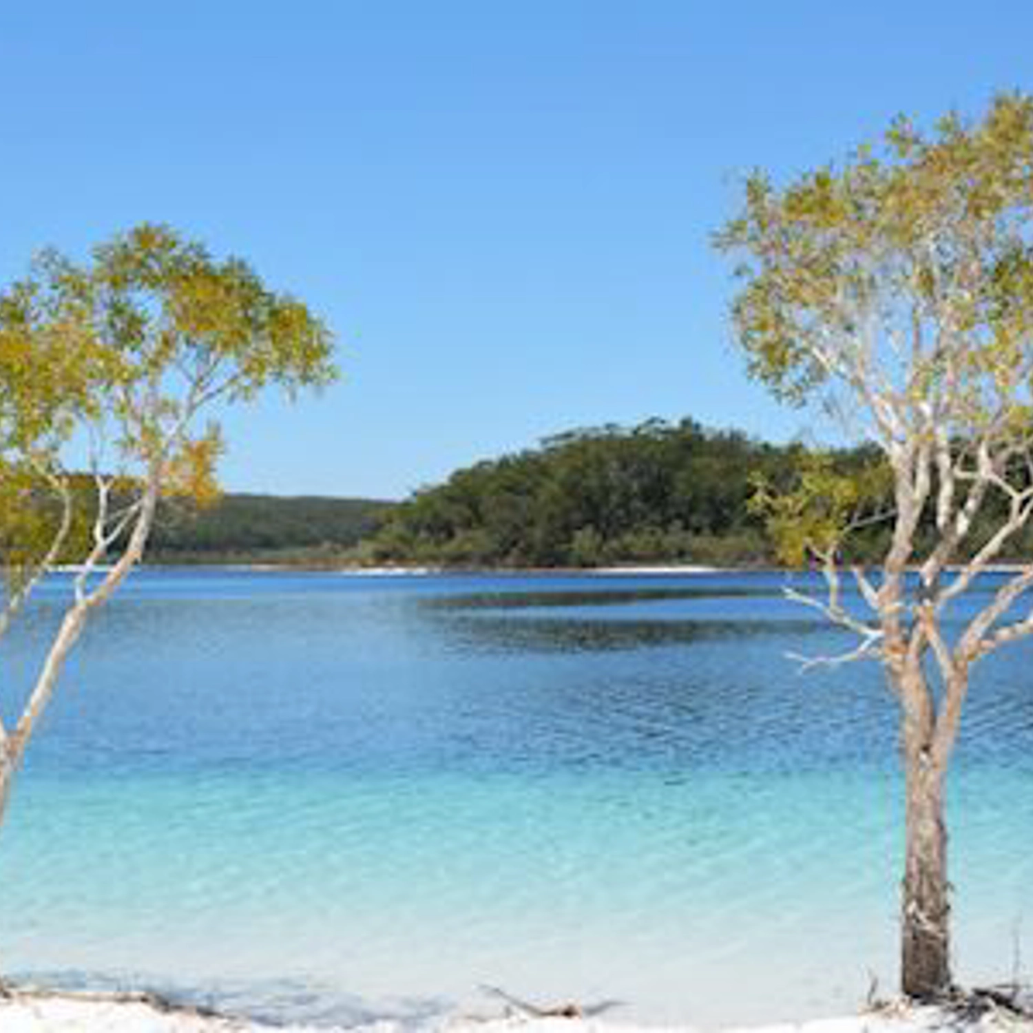 K'gari Experience — Dorm Accommodation (ex Hervey Bay)