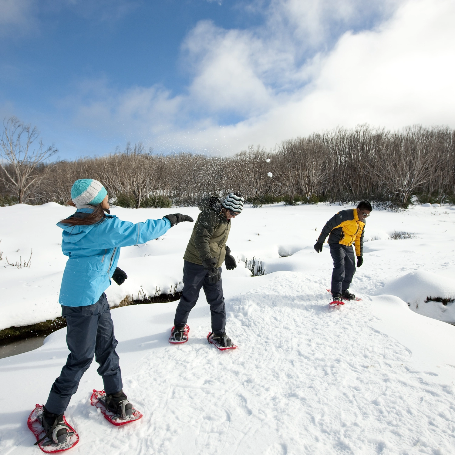 Lake Mountain Snow Play & Puffing Billy Tour 2