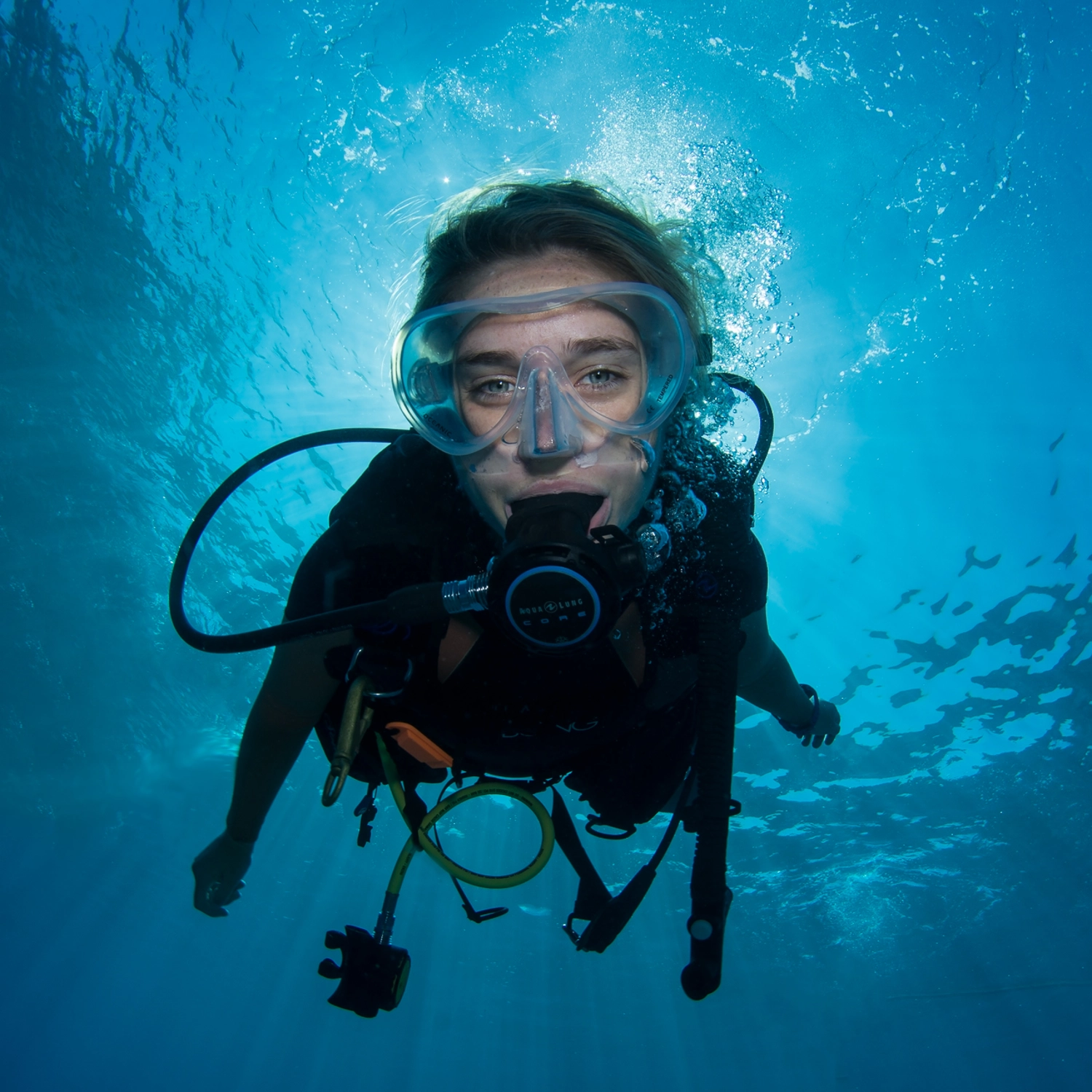1 Certified Dive (OZ INTRO)